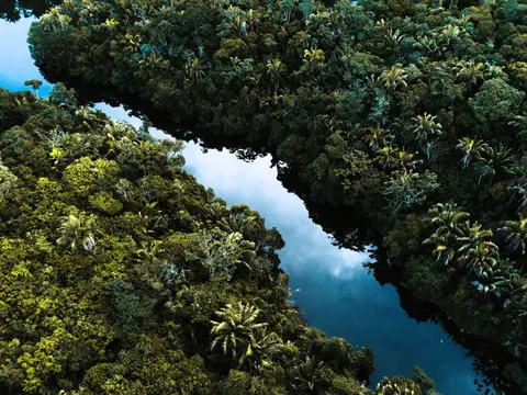Entdecke den Amazons bei einer globerocker Reise nach Brasilien