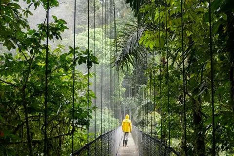Dschungel in Costa Rica mit globerocker entdecken