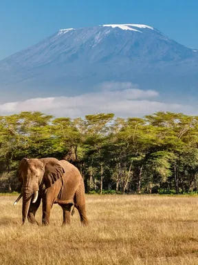 globerocker Reisen nach Tansania
