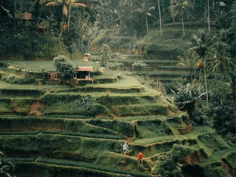 Entdecke die Inseln Asiens mit globerocker