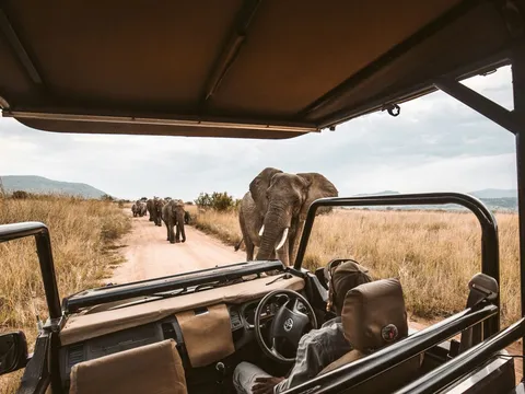 Südafrika als beliebtest Reiseziel in 2026