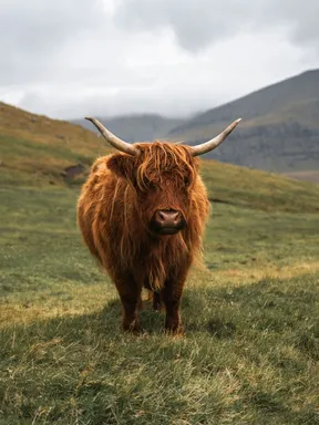globerocker Reisen in Schottland