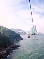 M. Erfahrungen in Südkorea mit globerocker