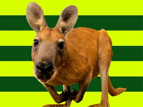 Känguru vor globerocker Style Hintergrund