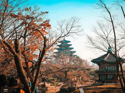 Entdecke den Osten Asiens mit globerocker