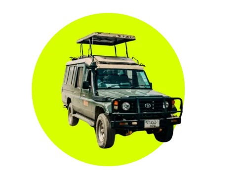 Safari in Botswana bei einer Gruppenreise mit globerocker