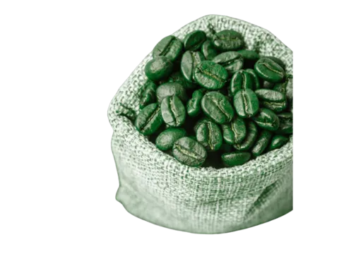 Kaffee in Guatemala auf einer Gruppenreise mit globerocker