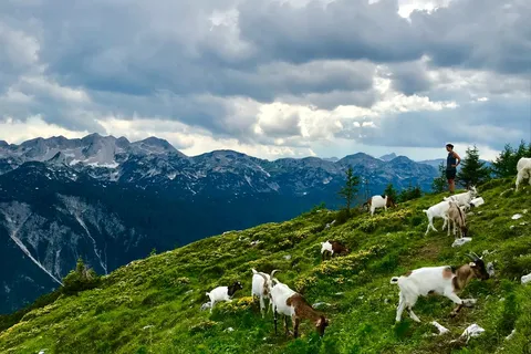 Wandere in Slowenien bei einer globerocker Gruppenreise