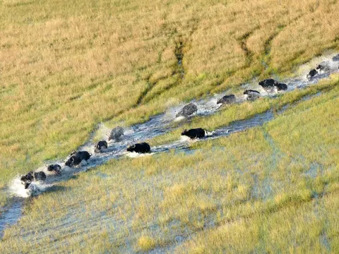 Delta in Botswana bei einer Abenteuerreise mit globerocker