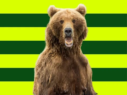 Bär vor gestreiftem globerocker Hintergrund