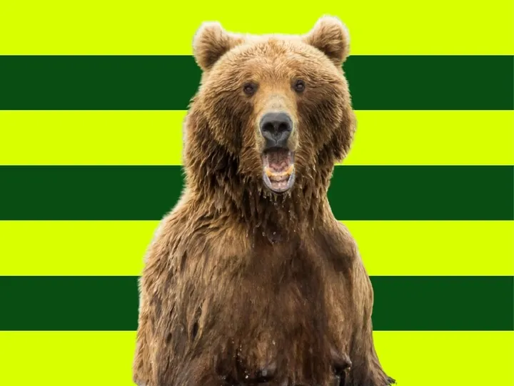Bär vor gestreiftem globerocker Hintergrund