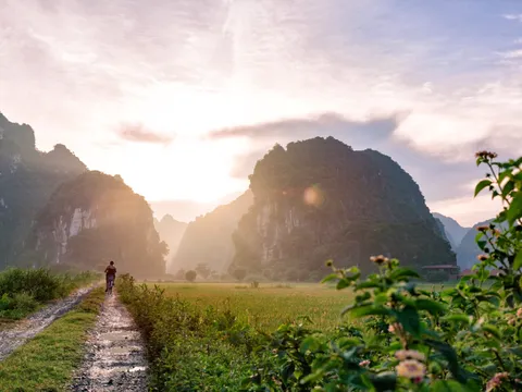 29 Tage Comfy Thailand & Vietnam Experience