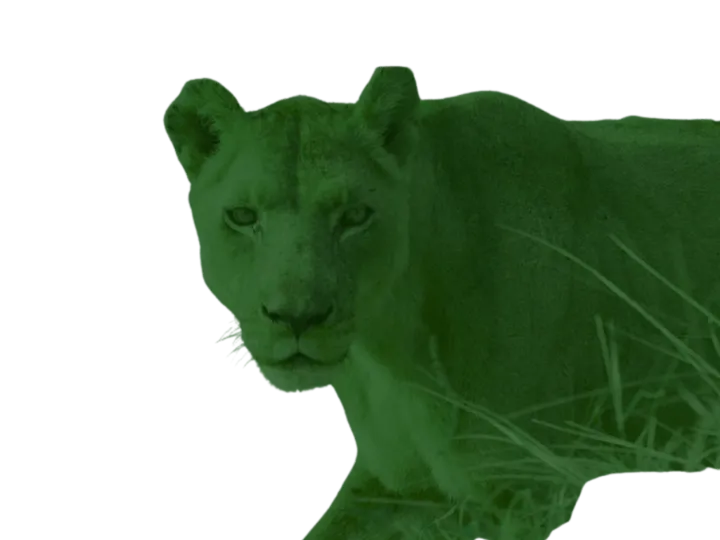 Löwe grün