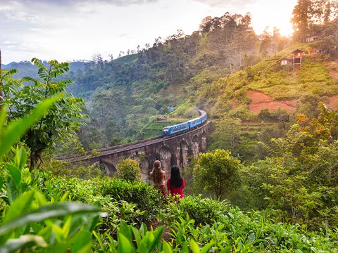 12 Tage Comfy Sri Lanka Gruppenreise