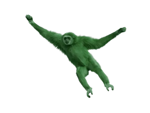 Highlights von Kambodscha mit globerocker entdecken