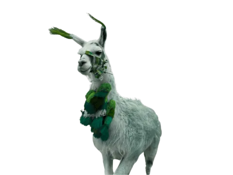 Alpaka in Peru bei einer Gruppenreise mit globerocker