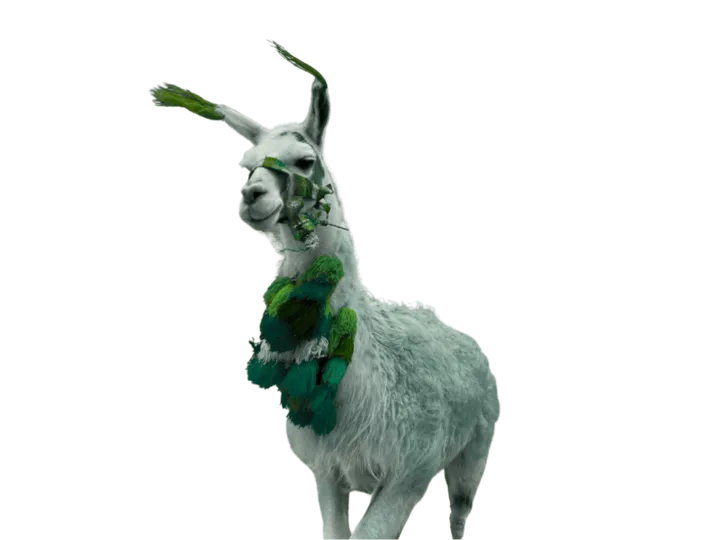 Alpaka in Peru bei einer Gruppenreise mit globerocker