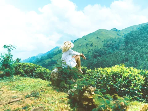 Grüne Natur in Sri Lanka bei einer globerocker Reise