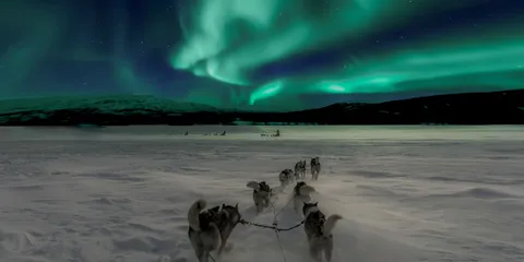 Huskey-Schlittenfahrt unter Nordlichter in Norwegen