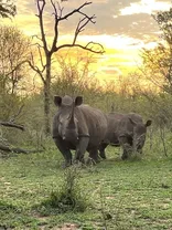 Melanies Erfahrungen bei einer Reise in Südafrika