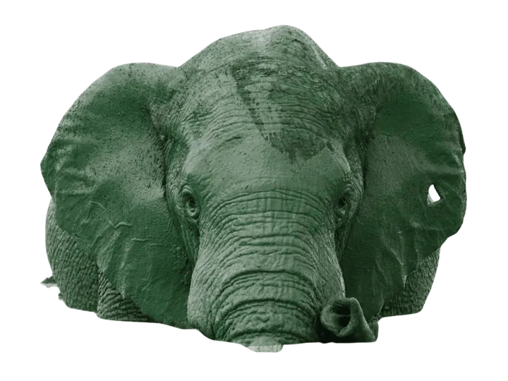Elefant grün