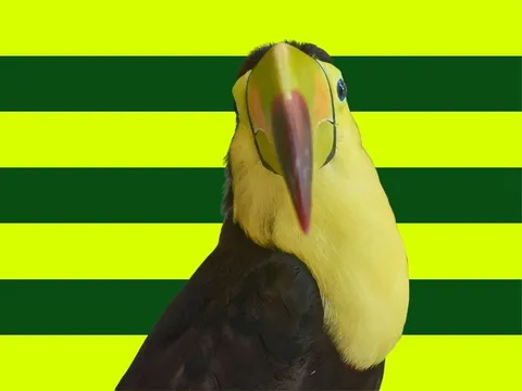 Natur in Lateinamerika entdecken