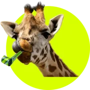 globerocker launcht mit 100 € Rabattcode und Partygiraffe