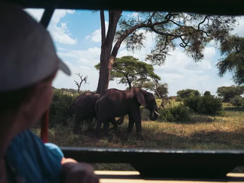Rundreisen unter 14 Tagen in Afrika