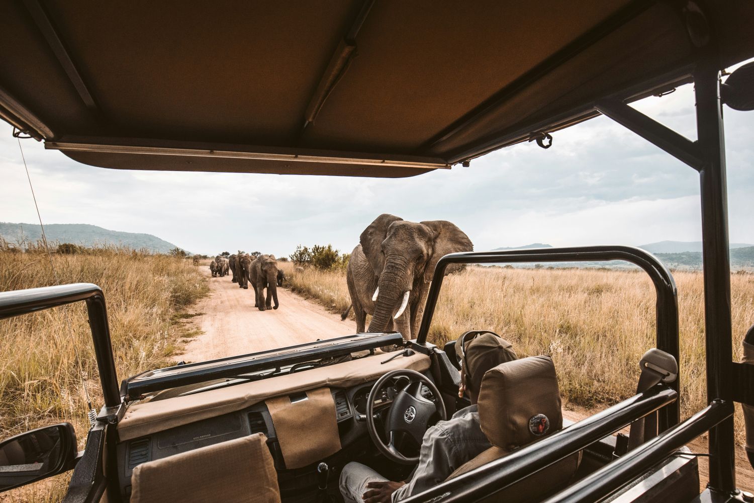 globerocker Reisen nach Südafrika