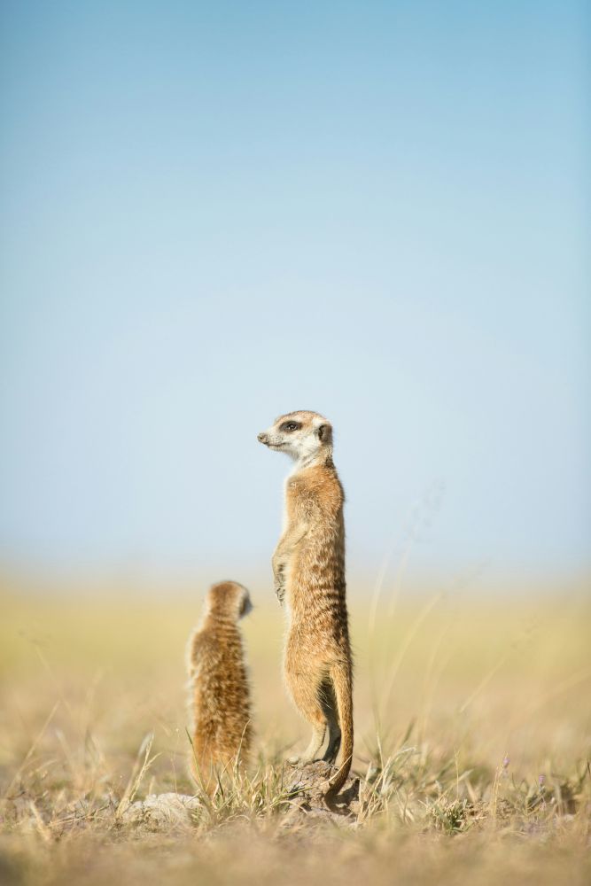 globerocker Reisen nach Botswana
